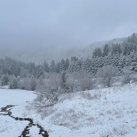 Appartement - Au Coeur Du Lac Blanc Орбе Экстерьер фото